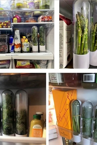 Pojemnik organizer Herb Keeper na zioła warzywa mini szklarnia