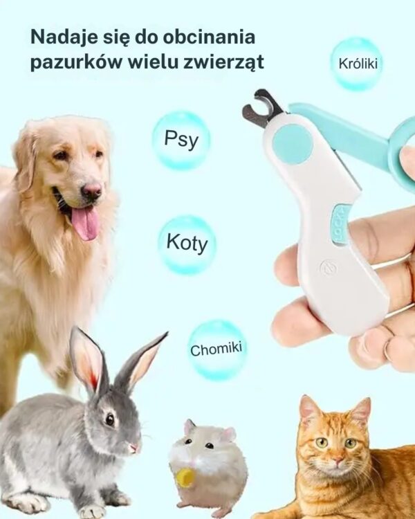 Obcinaczka do pazurów dla kota psa z lampką LED Obcinaczka do pazurów dla kota psa z lampką LED