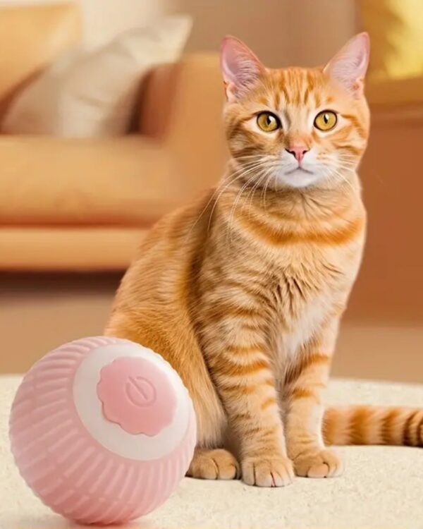 Zabawka dla psa kota inteligentna uciekająca piłka