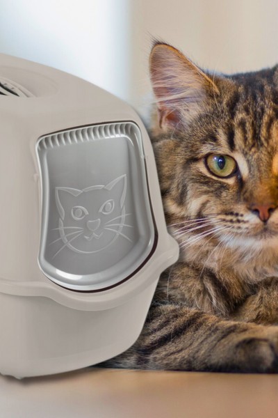 Kuweta zamknięta ECO BAILEY duża XL dla kota na żwirek z filtrem