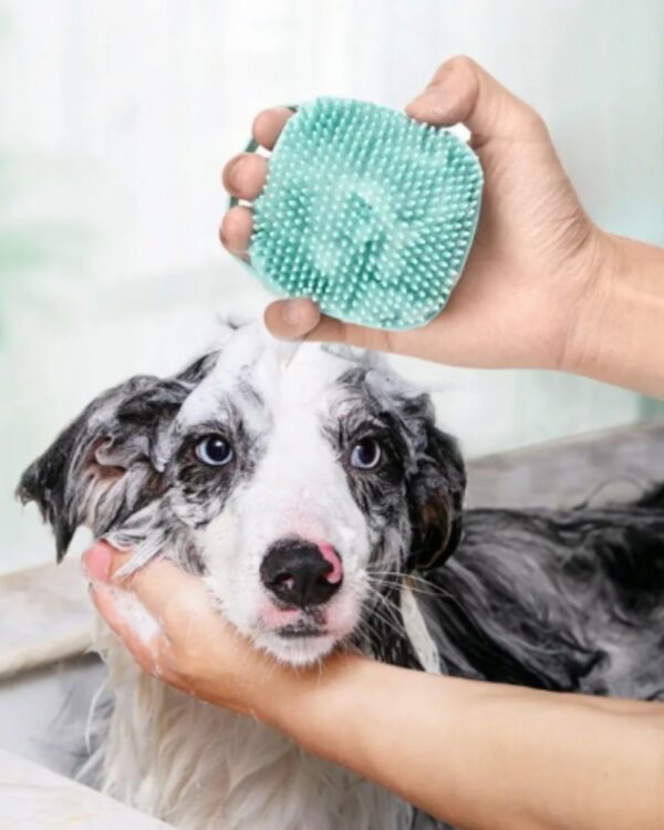 Szczotka silikonowa do mycia sierści z dozownikiem