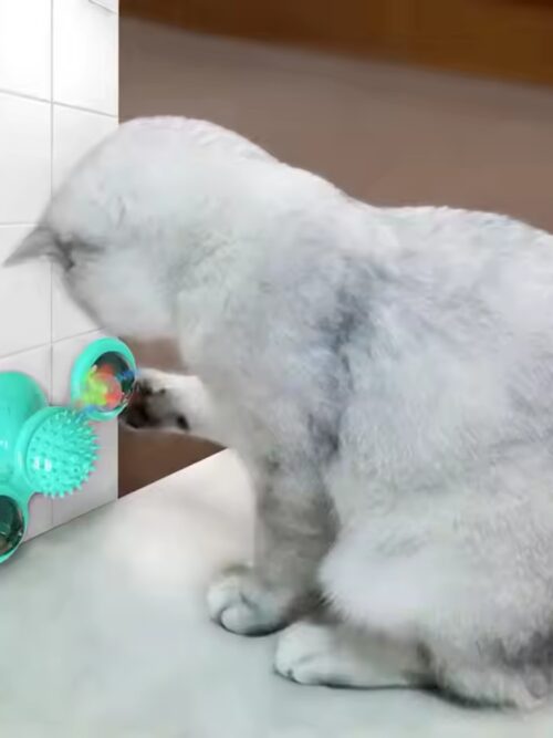 Zabawka dla kota interaktywna obrotowa LED + Kocimiętka GRATIS