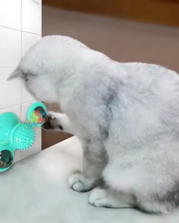 Zabawka dla kota interaktywna obrotowa LED + Kocimiętka GRATIS