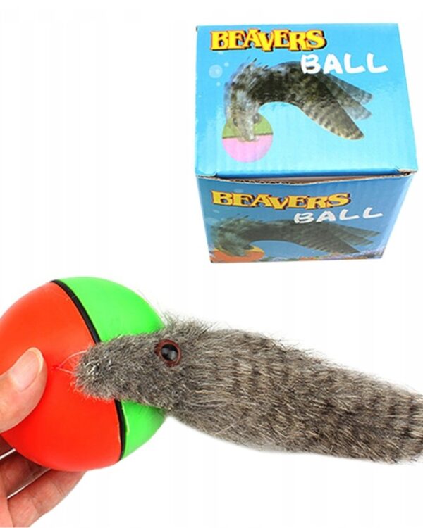 Fretka biegająca piłka uciekająca zabawka dla kota