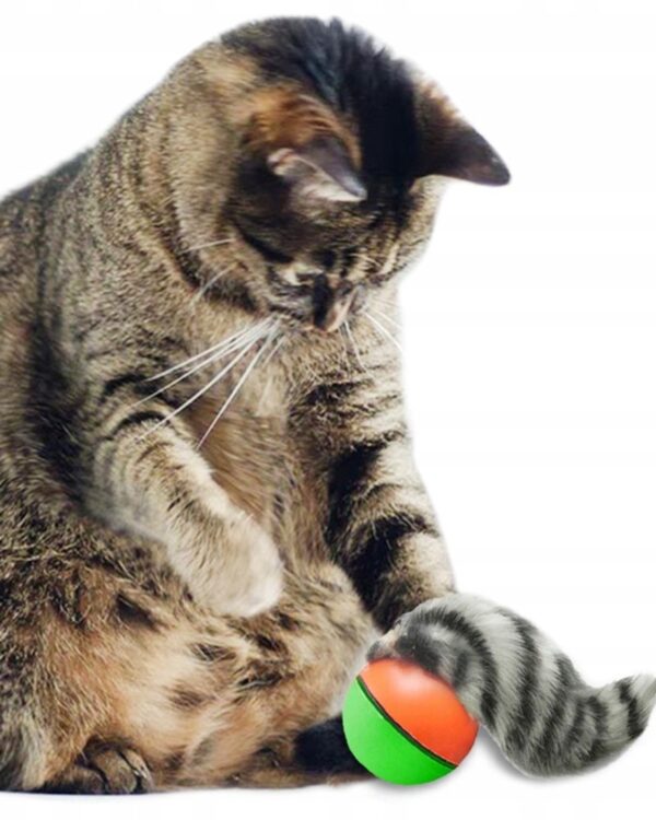 Fretka biegająca piłka uciekająca zabawka dla kota