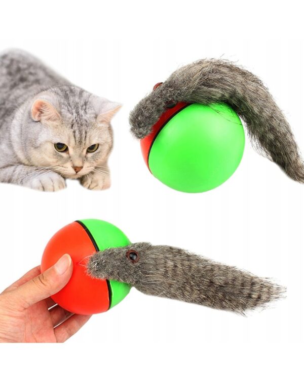 Fretka biegająca piłka uciekająca zabawka dla kota