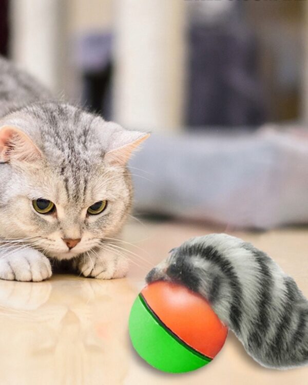 Fretka biegająca piłka uciekająca zabawka dla kota