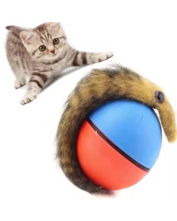 Fretka biegająca piłka uciekająca zabawka dla kota