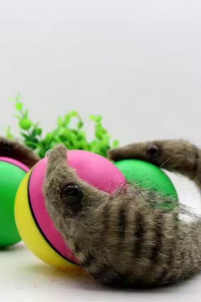 Fretka biegająca piłka uciekająca zabawka dla kota