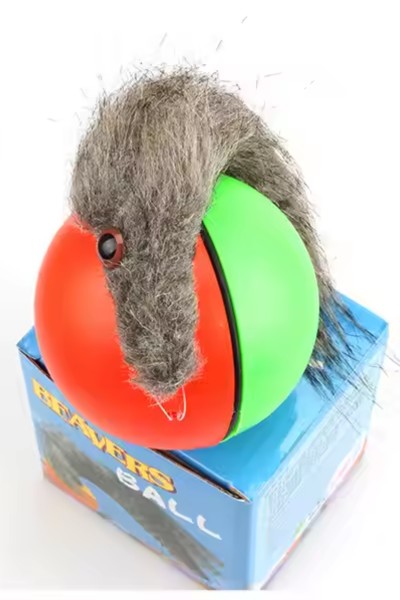 Fretka biegająca piłka uciekająca zabawka dla kota