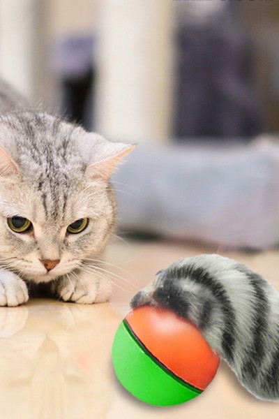 Fretka biegająca piłka uciekająca zabawka dla kota