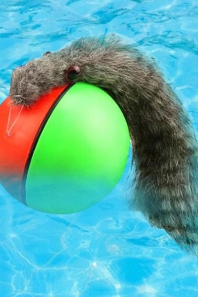 Fretka biegająca piłka uciekająca zabawka dla kota