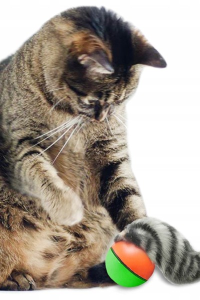 Fretka biegająca piłka uciekająca zabawka dla kota