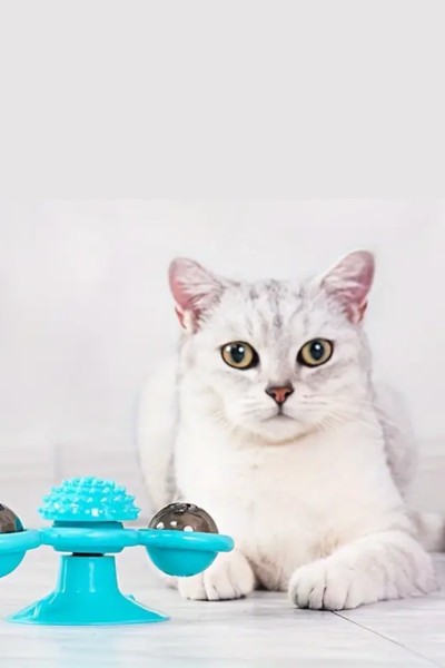 Zabawka dla kota interaktywna obrotowa LED + Kocimiętka GRATIS