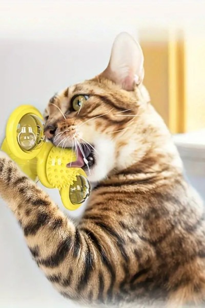 Zabawka dla kota interaktywna obrotowa LED + Kocimiętka GRATIS