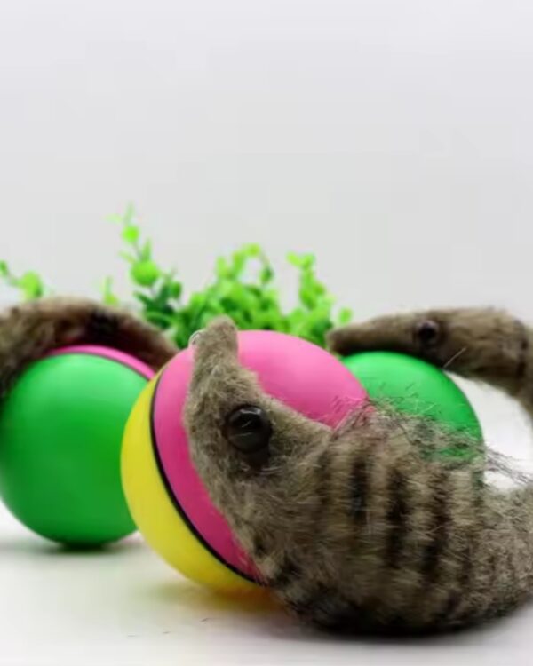 Fretka biegająca piłka uciekająca zabawka dla kota