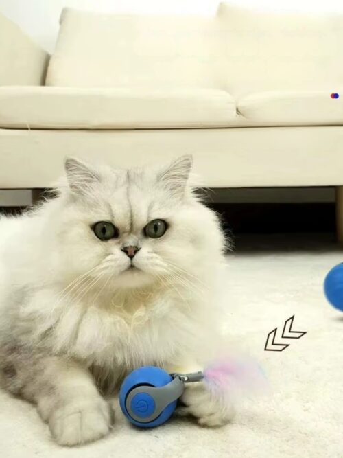 Piłeczka YO-YO interaktywna dla kota z ruszającym się ogonkiem