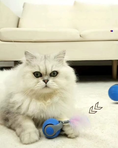 Piłeczka YO-YO interaktywna dla kota z ruszającym się ogonkiem