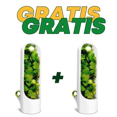 Pojemnik organizer Herb Keeper na zioła warzywa mini szklarnia